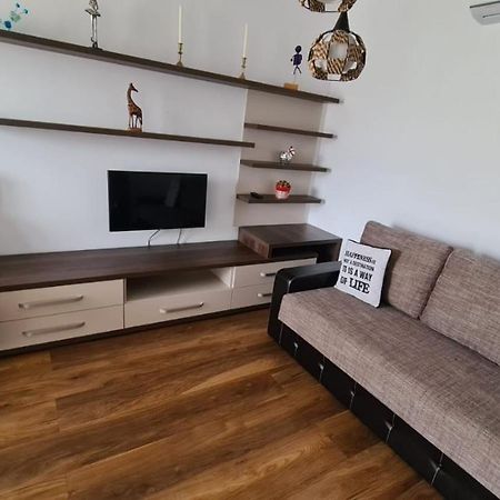 Apartament Mirubias Διαμέρισμα Μπρασόβ Εξωτερικό φωτογραφία